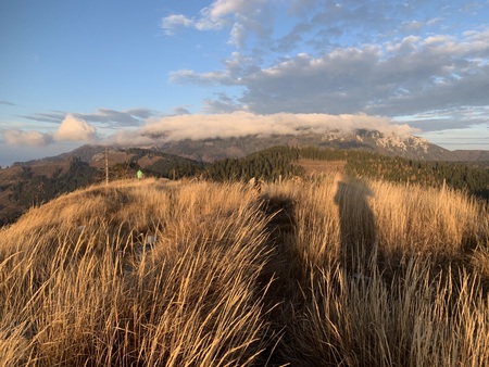 Katja Gole - srednji apartma 9